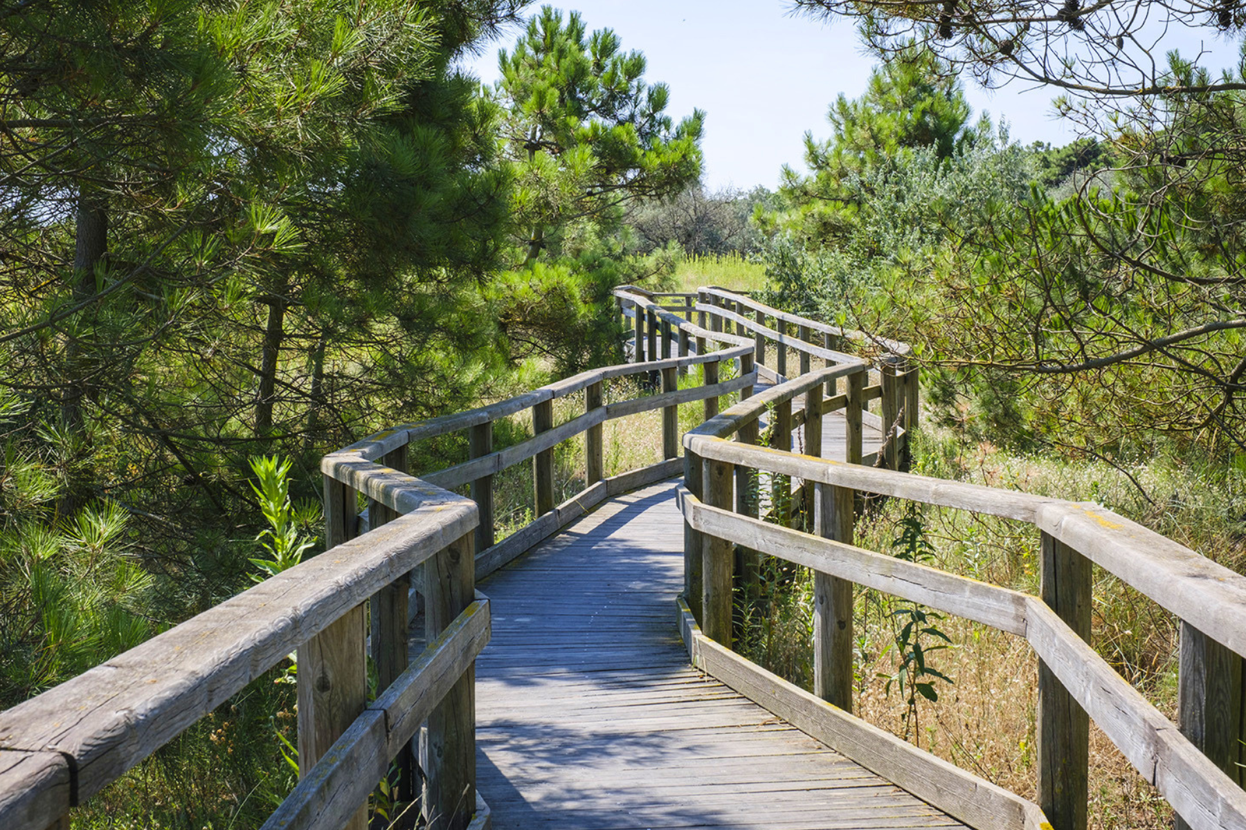 Ravenna Capitale del Mare 2026 - Festa del Mare